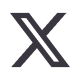 X Icon